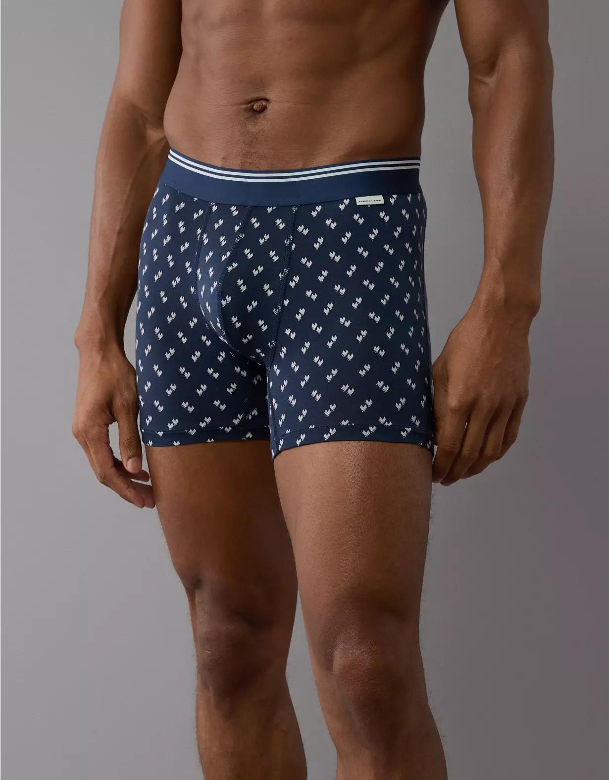 AEO Men's Bird Eye 4.5" Ultra Soft Boxer Brief Product Image