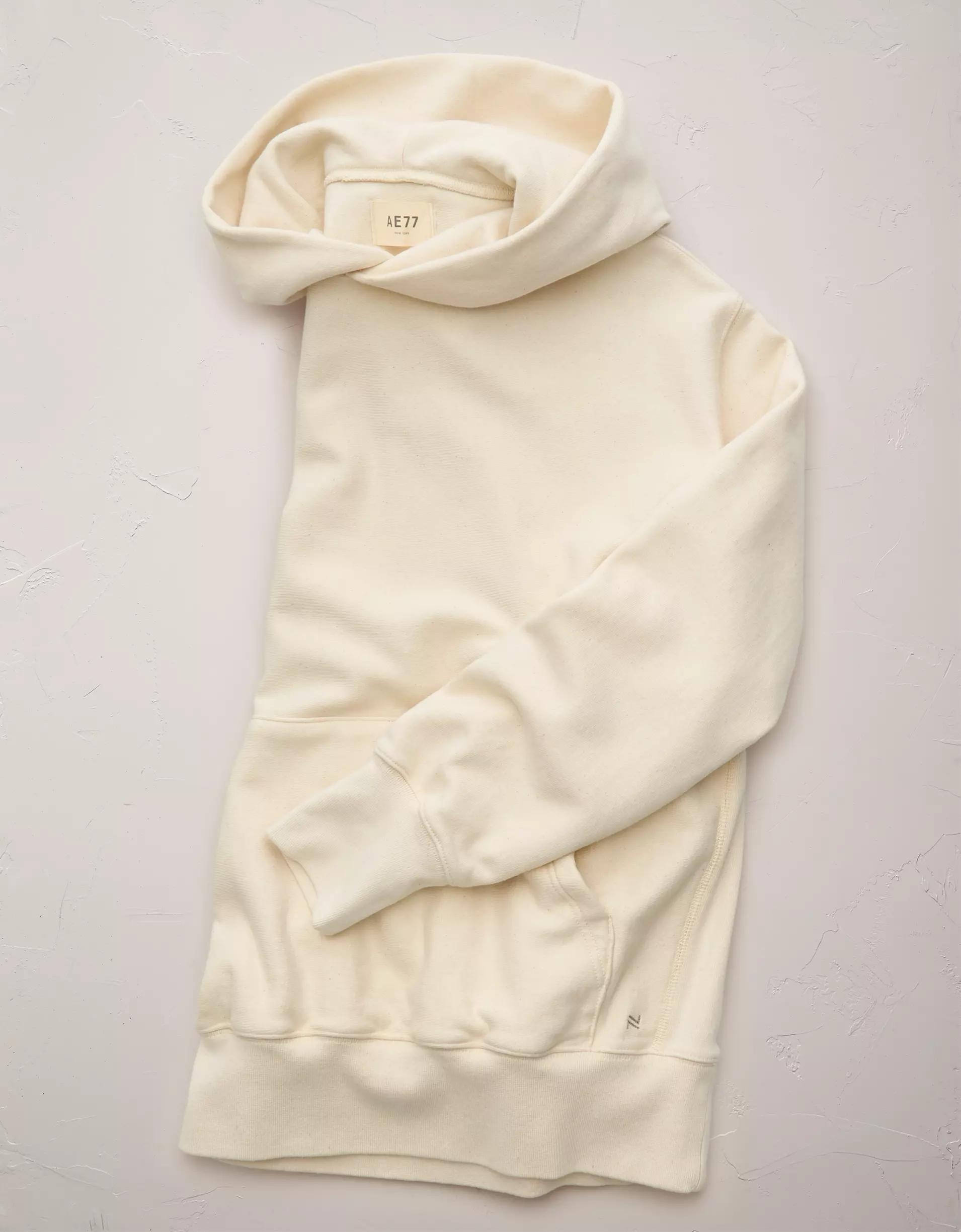 AE77 Premium Fleece Hoodie Product Image