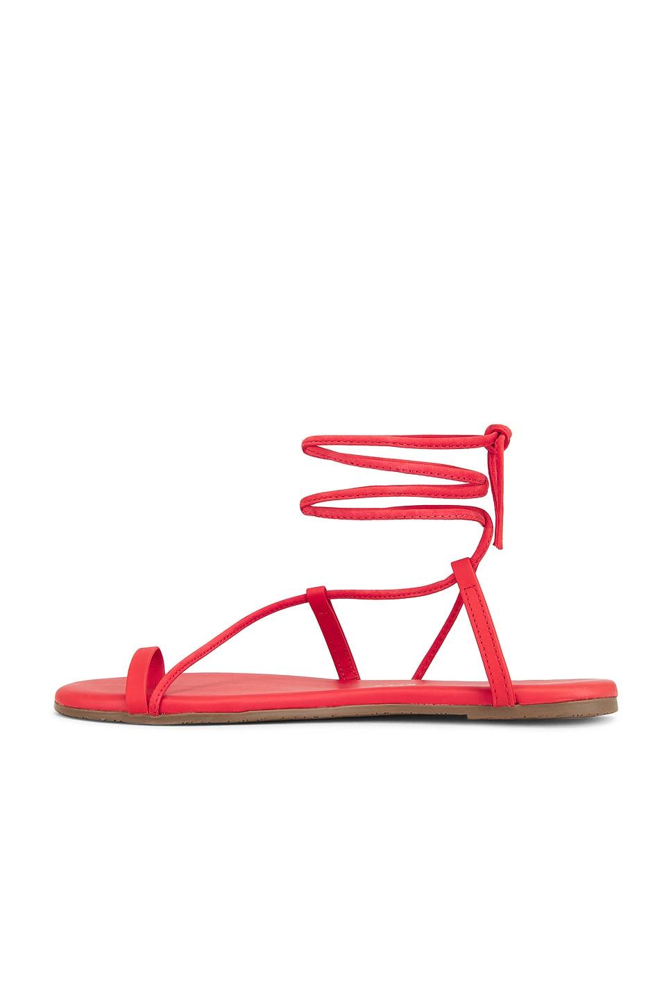 Jo Sandal TKEES Product Image