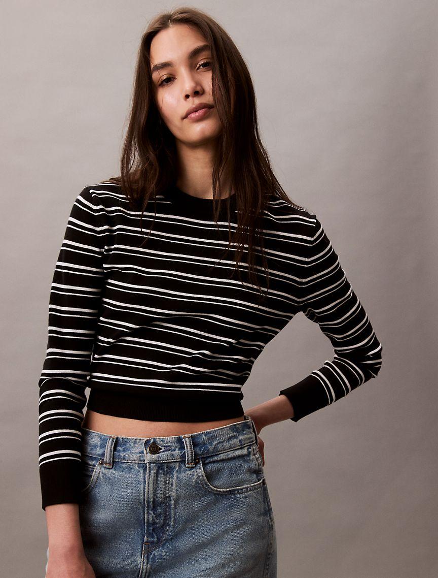 Smooth Cotton Stripe Crewneck Sweater Product Image