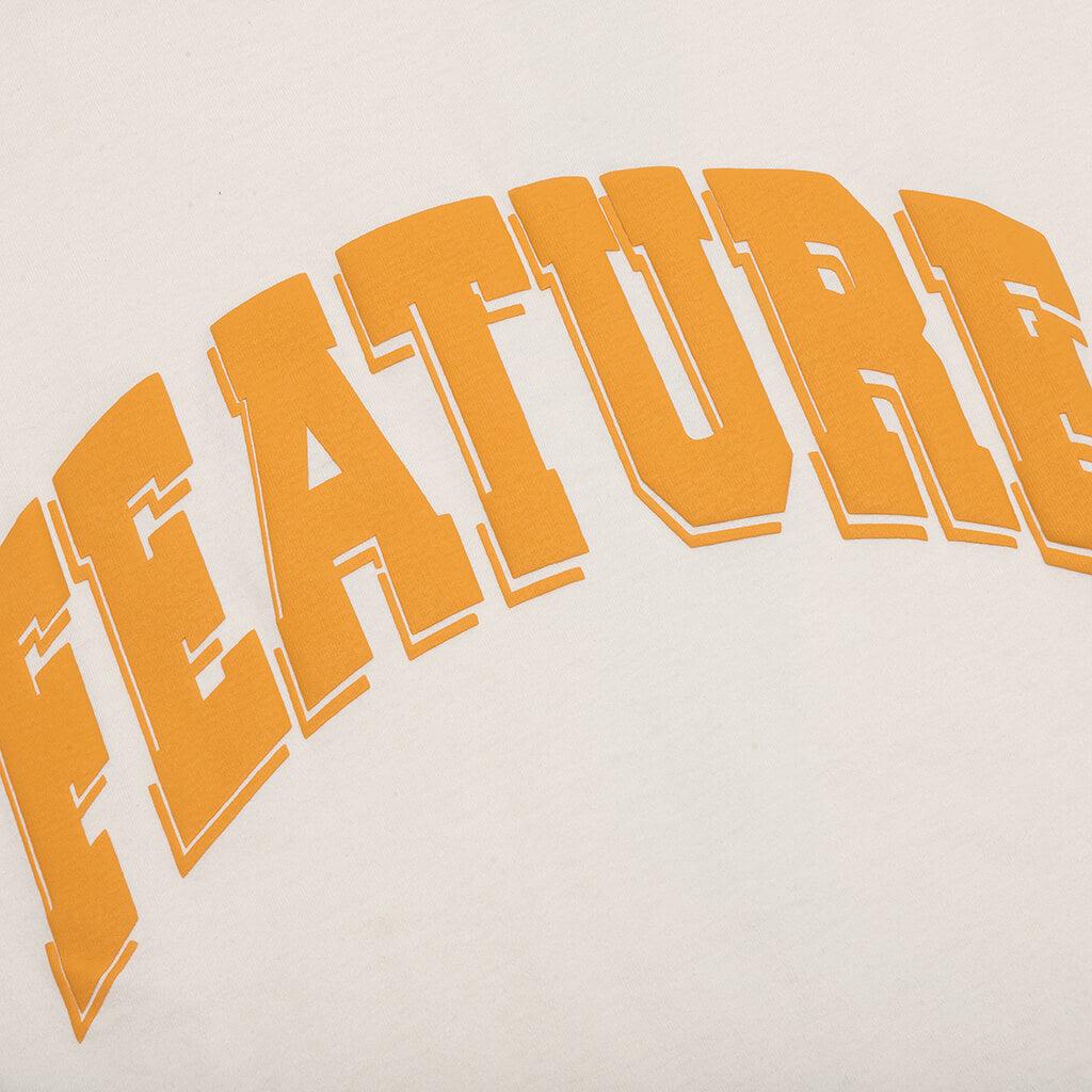 Collegiate Arch Tee - Bitter Chocolate Male Product Image