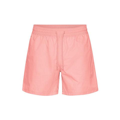 Classic Swim Shorts - Storm Grey Product Image