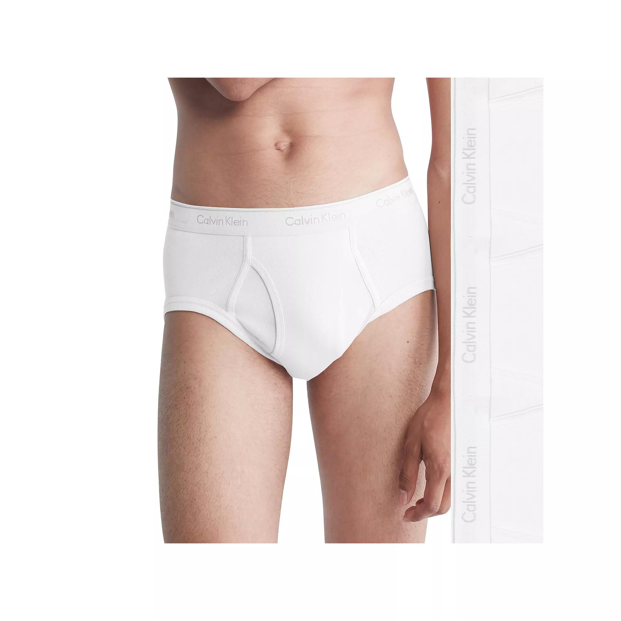 Mens Calvin Klein 3-Pack Cotton Classic Briefs Product Image