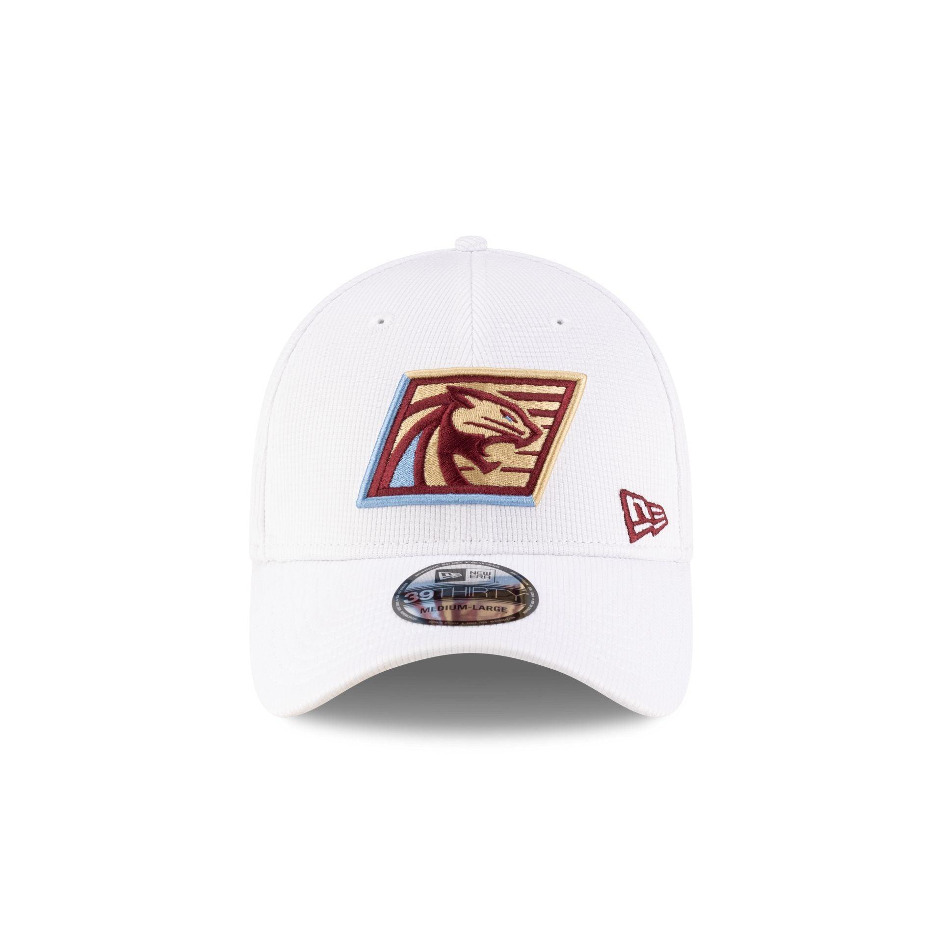 Michigan Panthers White 39THIRTY Stretch Fit Hat Male Product Image
