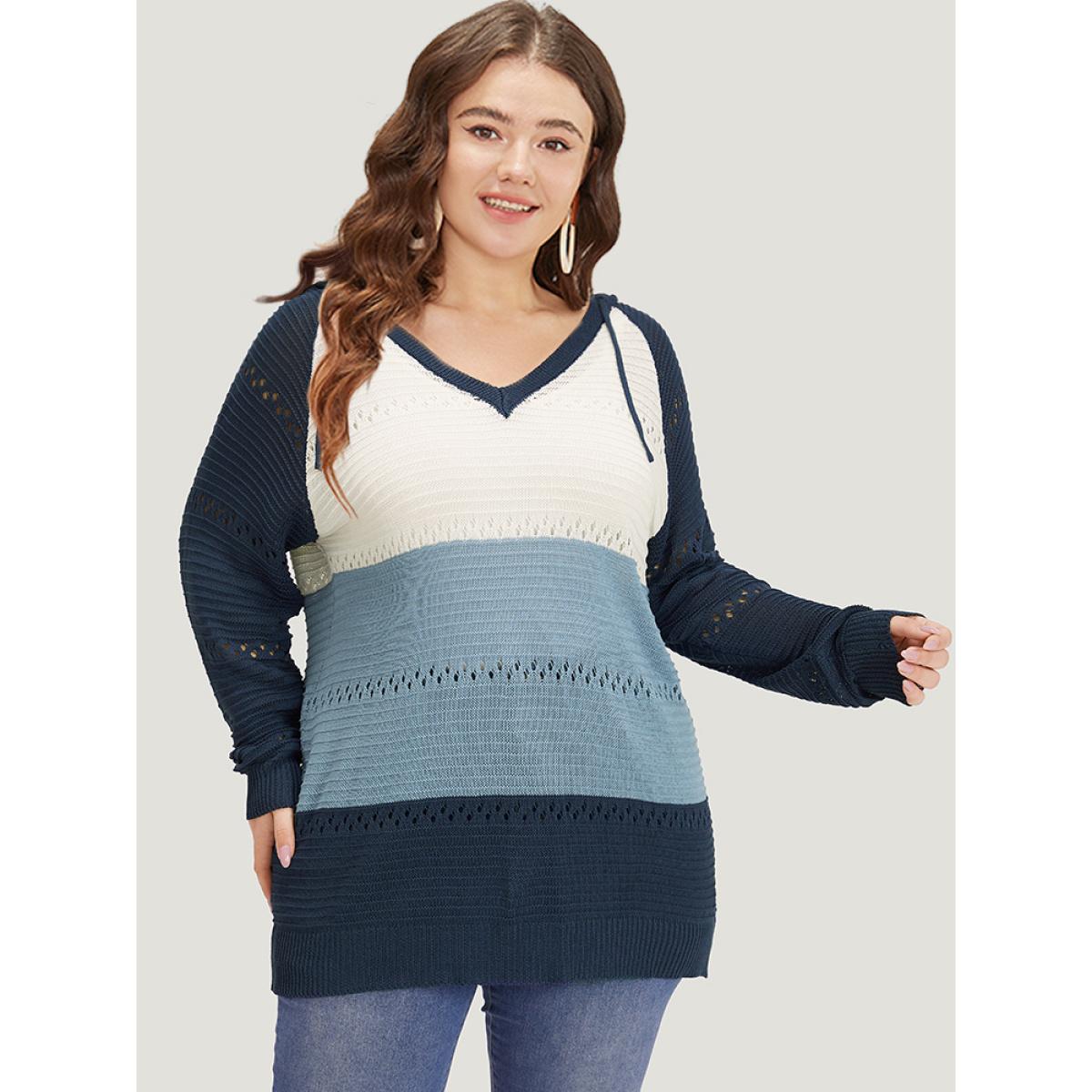 Plus Size Colorblock Hooded Raglan Sleeve Eyelet Pullover Multicolor Women Casual Loose Long Sleeve Dailywear Pullovers BloomChic 14-16/1X Product Image