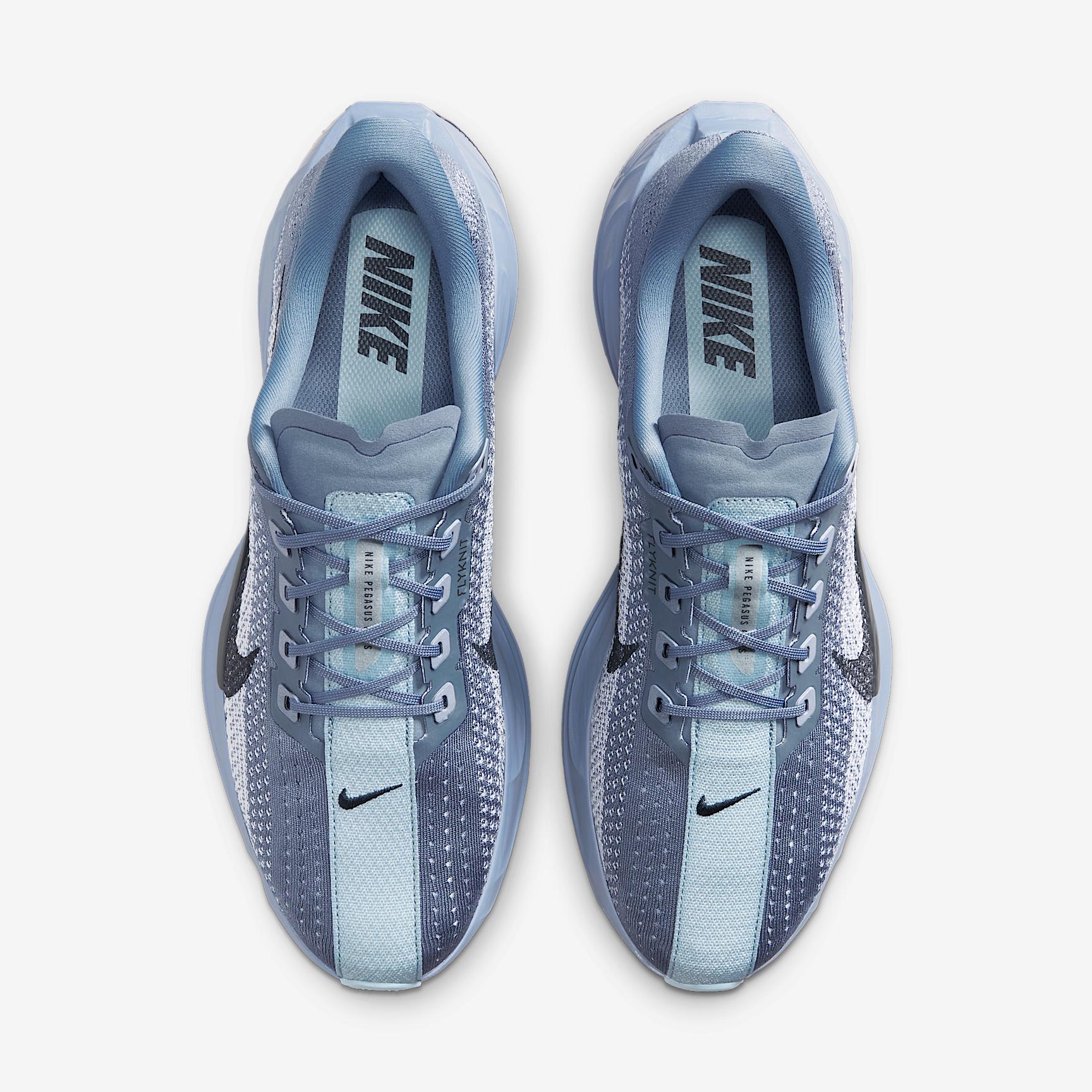 Nike Men's Pegasus Plus Road Running Shoes Product Image