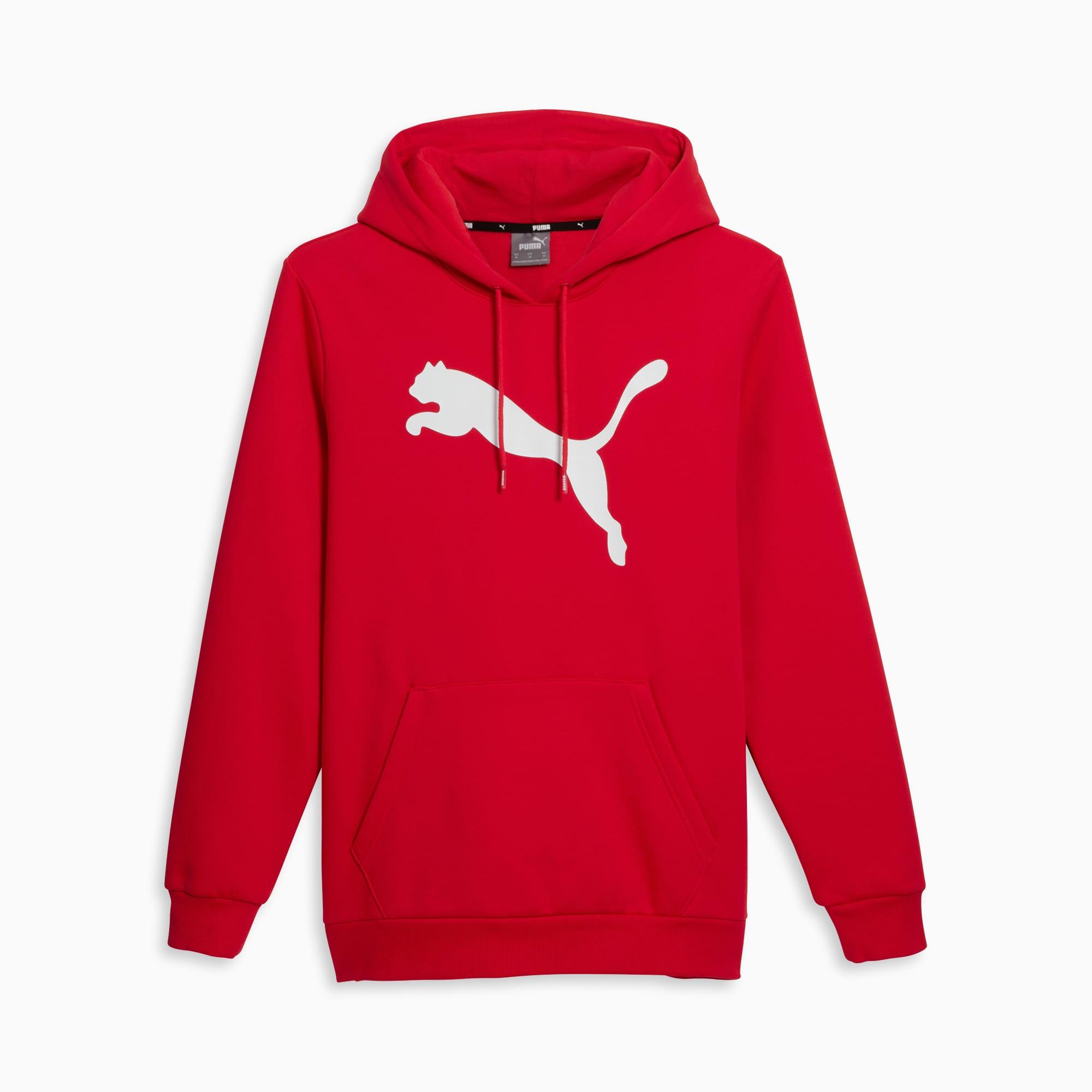 Big Cat Men's Logo Hoodie Product Image