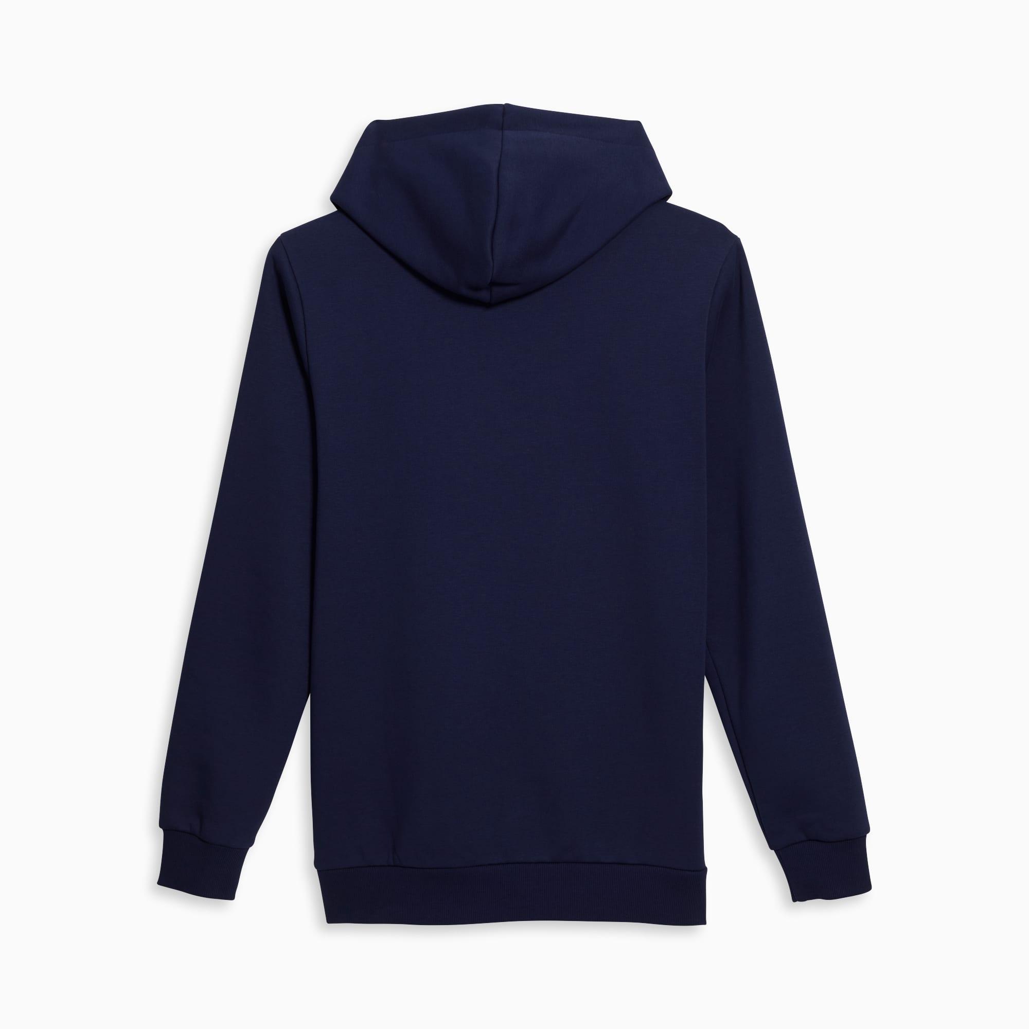 Big Cat Men's Logo Hoodie Product Image