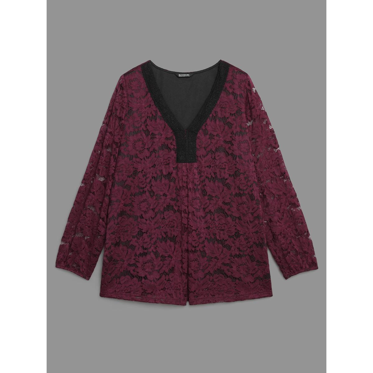 Plus Size Scarlet Sheer Lace Sleeve Pleated Slim-Fit Blouse Women Elegant Long Sleeve V-neck Everyday Blouses BloomChic 26/4X Product Image