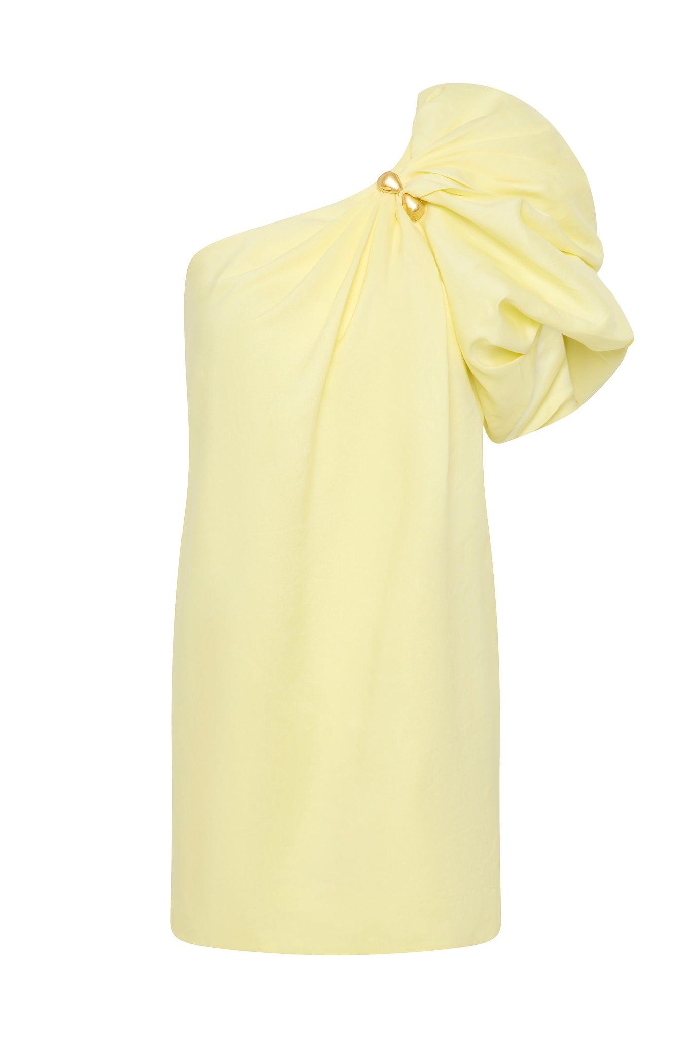 Cira Mini Dress Product Image