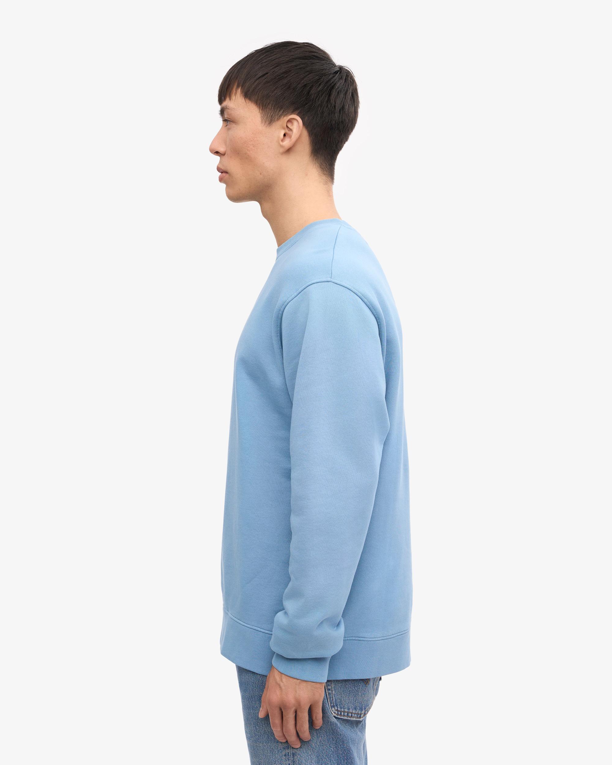 Classic Organic Crew - Coffee Brown Product Image