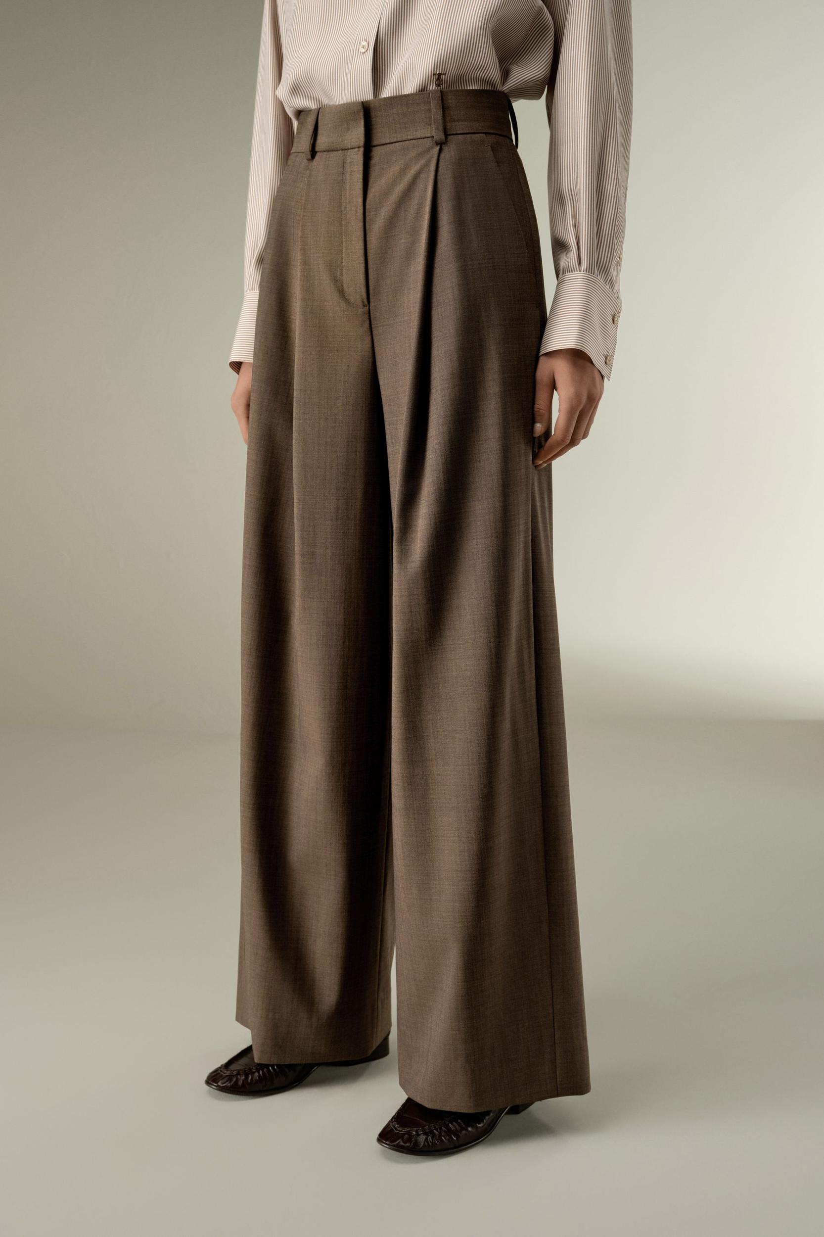 Front-Pleated Silk-Wool Blend Trousers Product Image