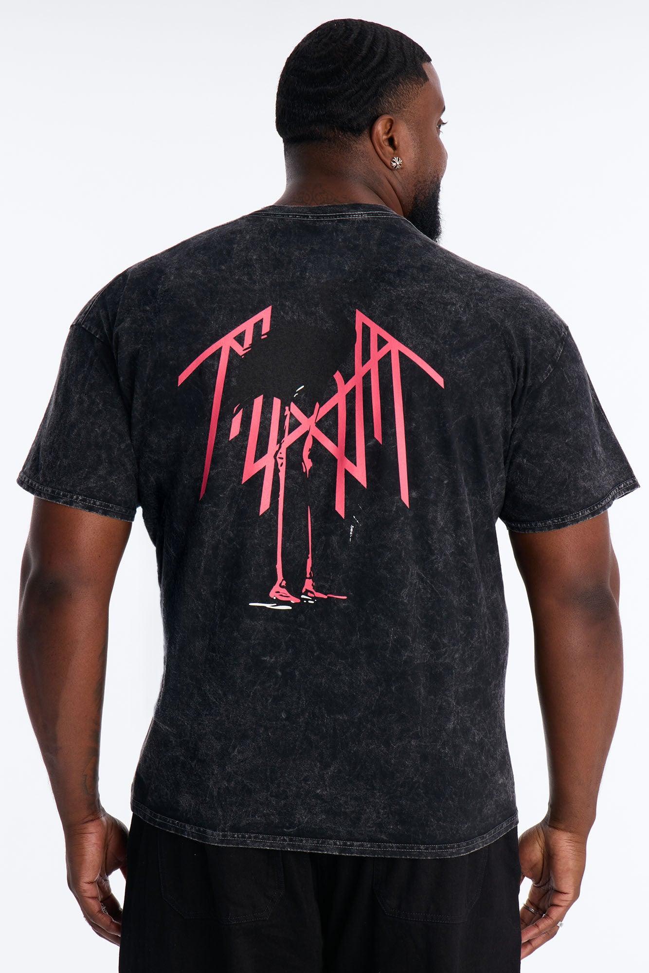 Sleep Token Flamingo Vintage Short Sleeve Tee - Black Wash Male Product Image