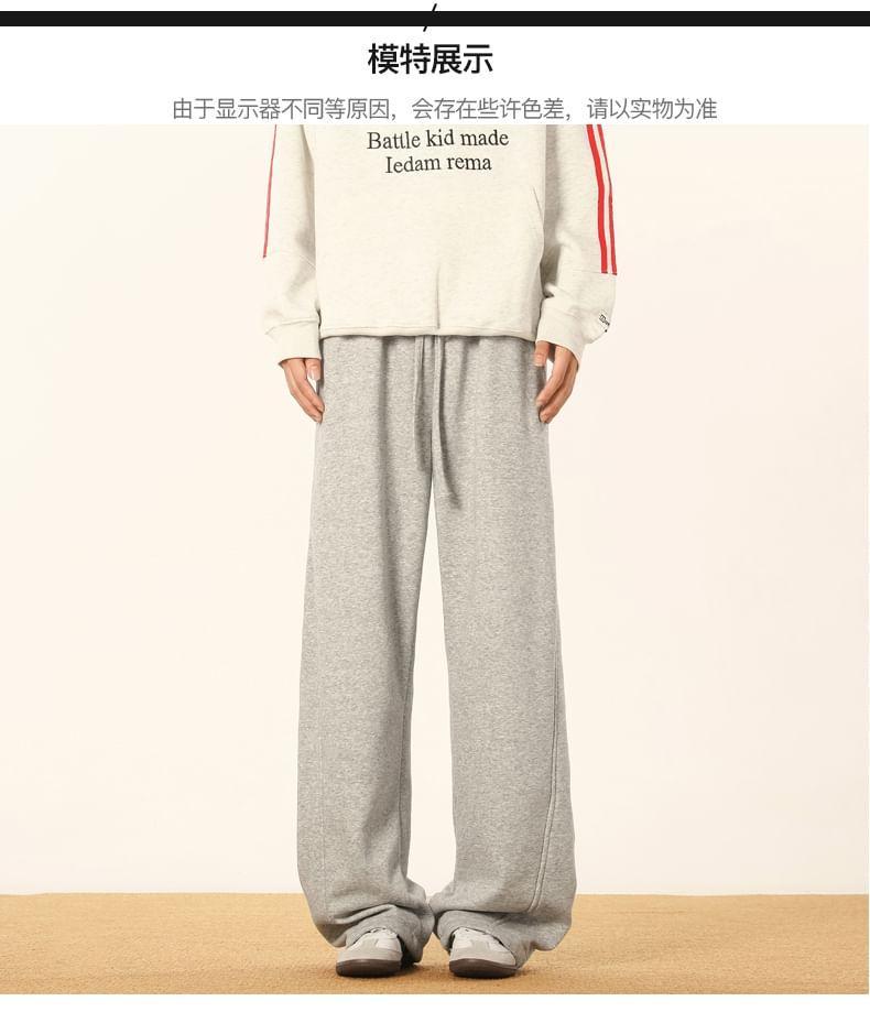 Drawstring Waist Plain Panel Straight Leg Sweatpants Product Image