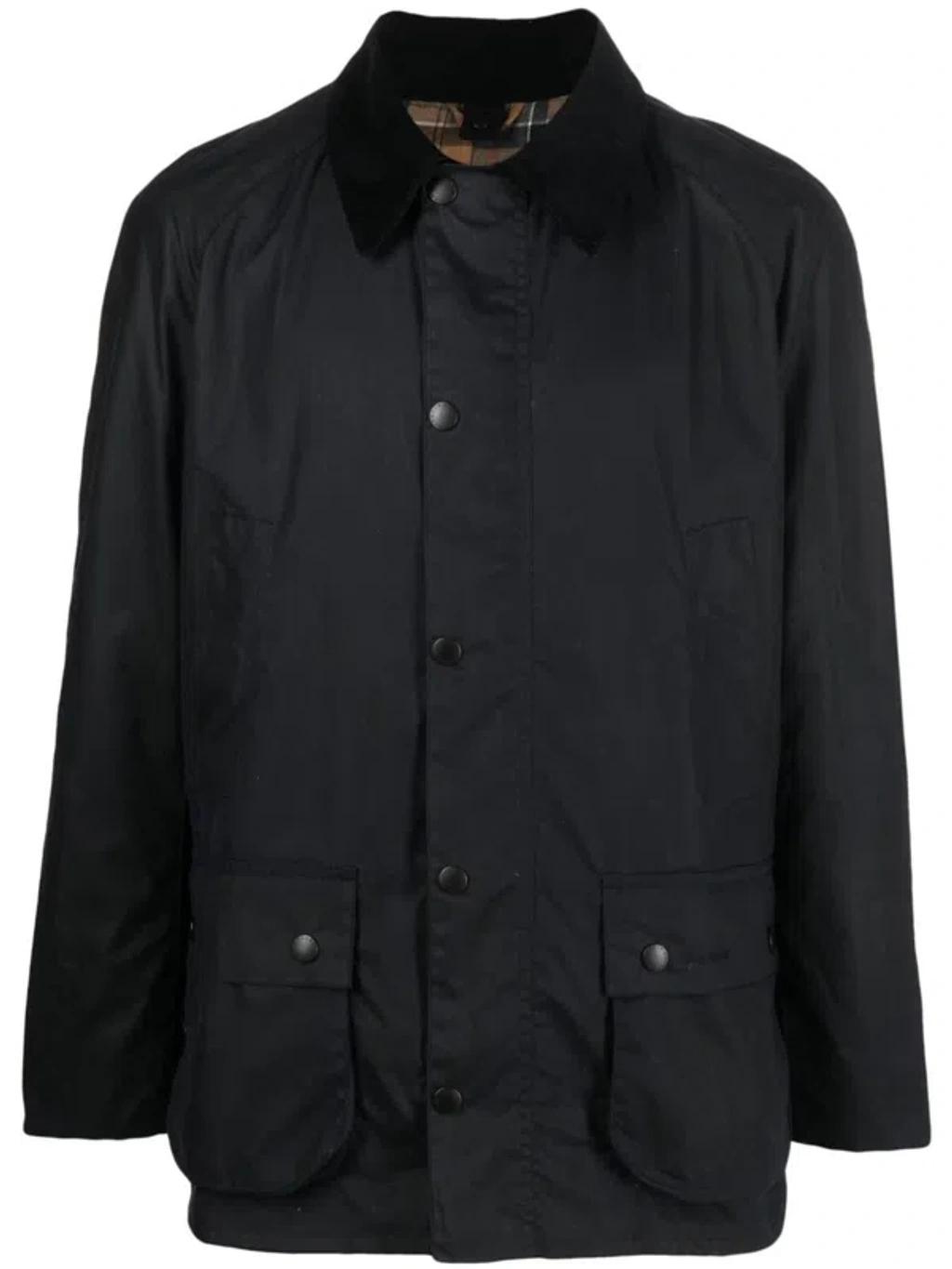 Ashby cotton jacket Product Image