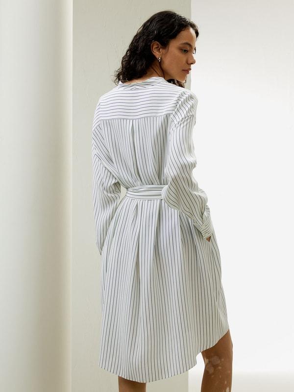 Pinstriped Silk Shirtdress with Belt Product Image