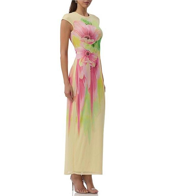 AFRM Cody Floral Print Crew Neck Cap Sleeve Mesh Maxi Dress Product Image