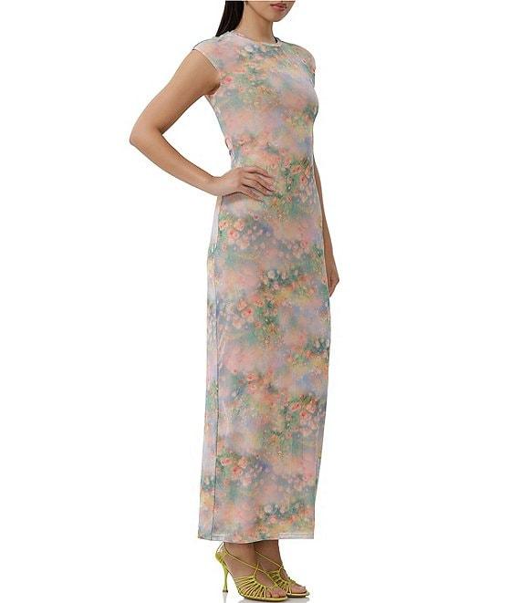 AFRM Cody Floral Print Mesh Crew Neck Cap Sleeve Maxi Dress Product Image