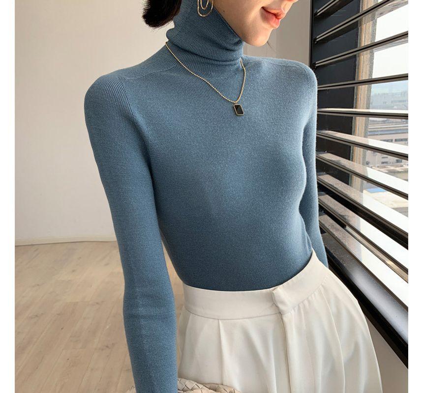 Long-Sleeve Turtleneck Plain Knit Top Product Image
