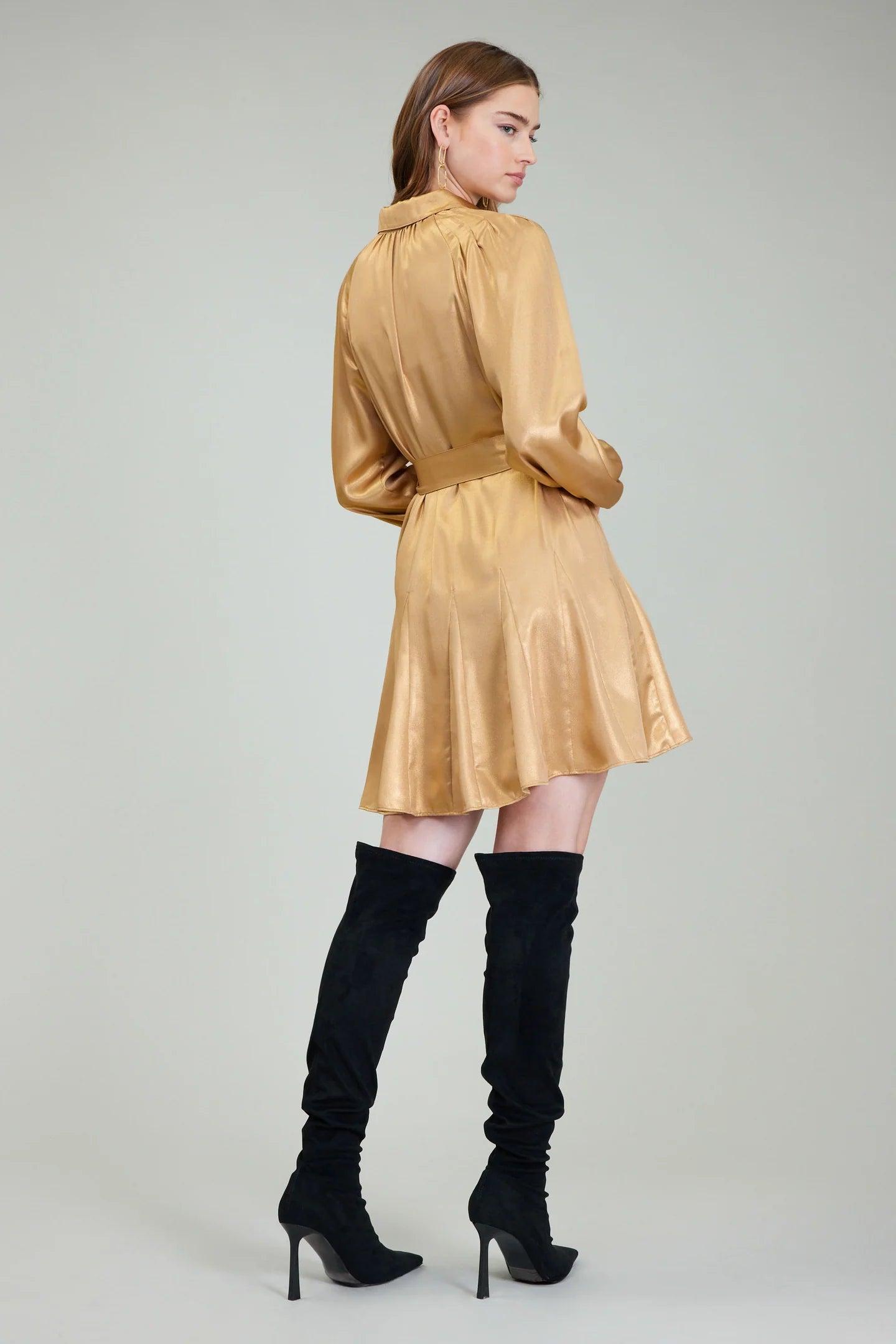 Perfect Fall Mini Dress Product Image