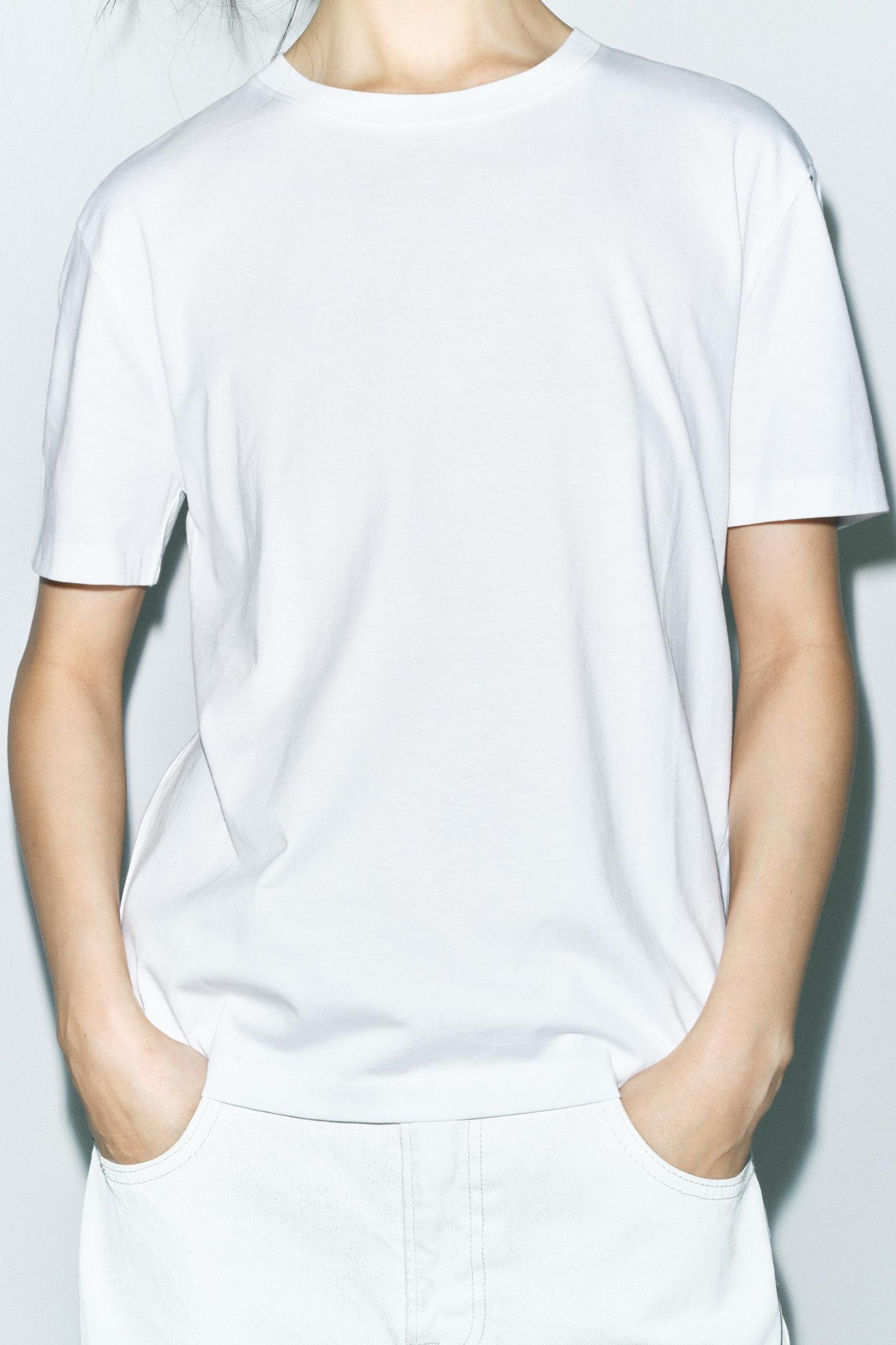 BASIC COTTON T-SHIRT Product Image