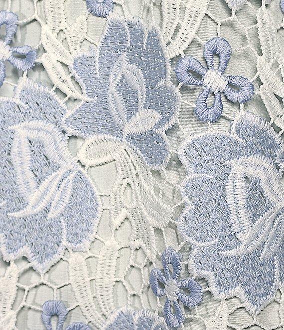 J.Marie Maggie Floral Lace Split V-Neck Long Sleeve Shift Dress Product Image