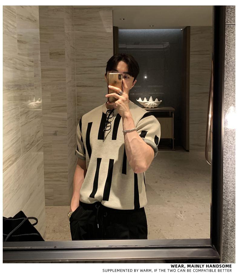 Short-Sleeve Crewneck Two Tone Knit Top Product Image