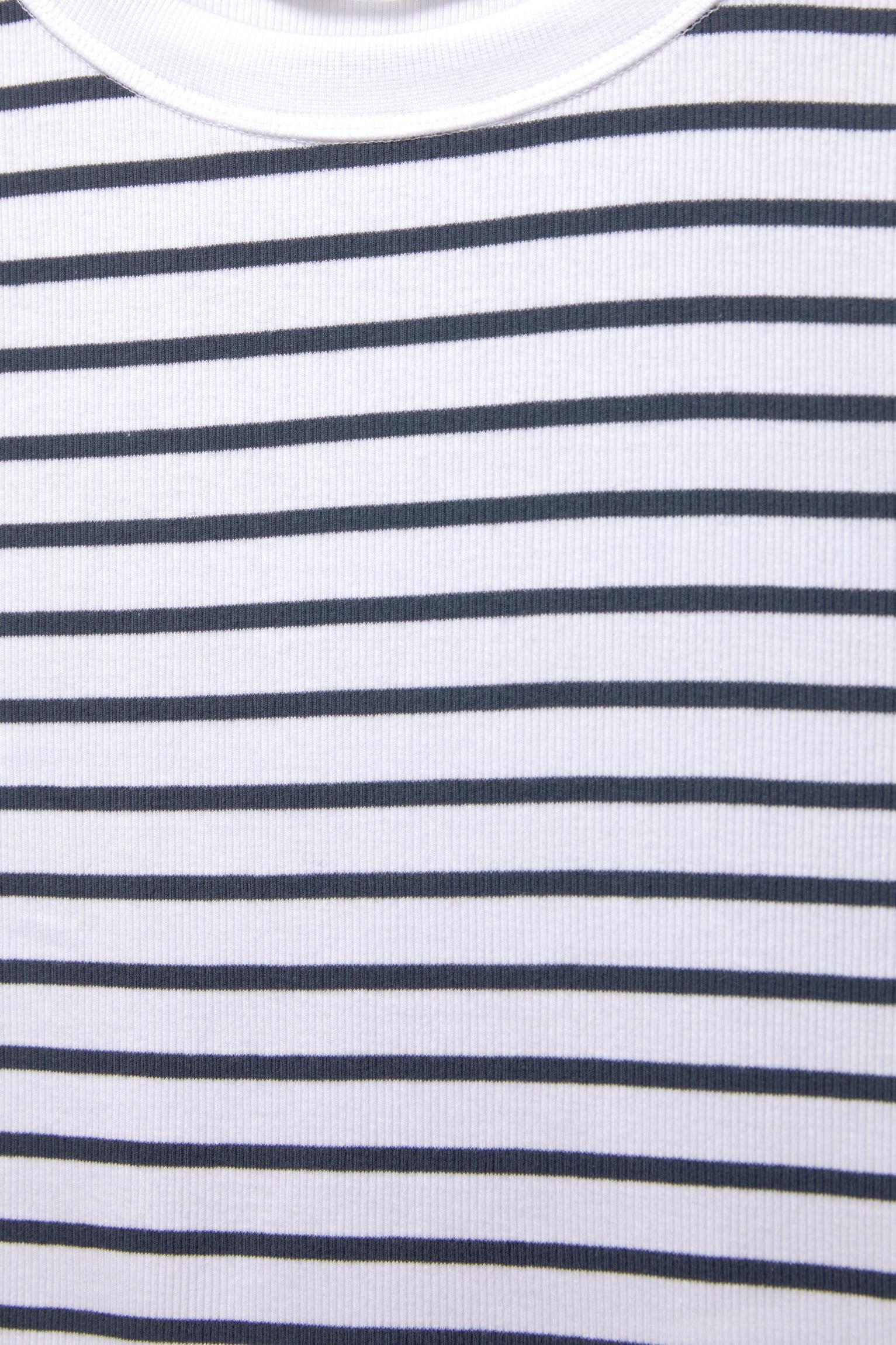 Ribbed cropped T-shirt Product Image
