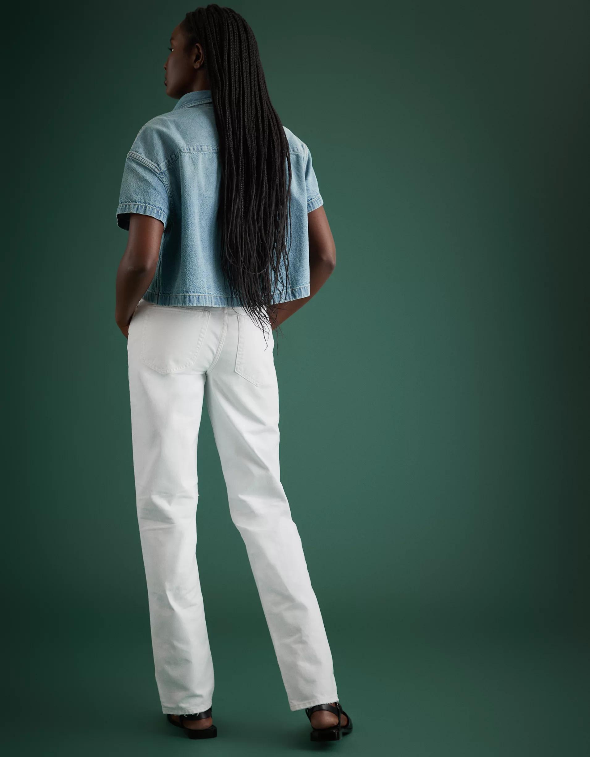 AE77 Premium Slouch Jean Product Image