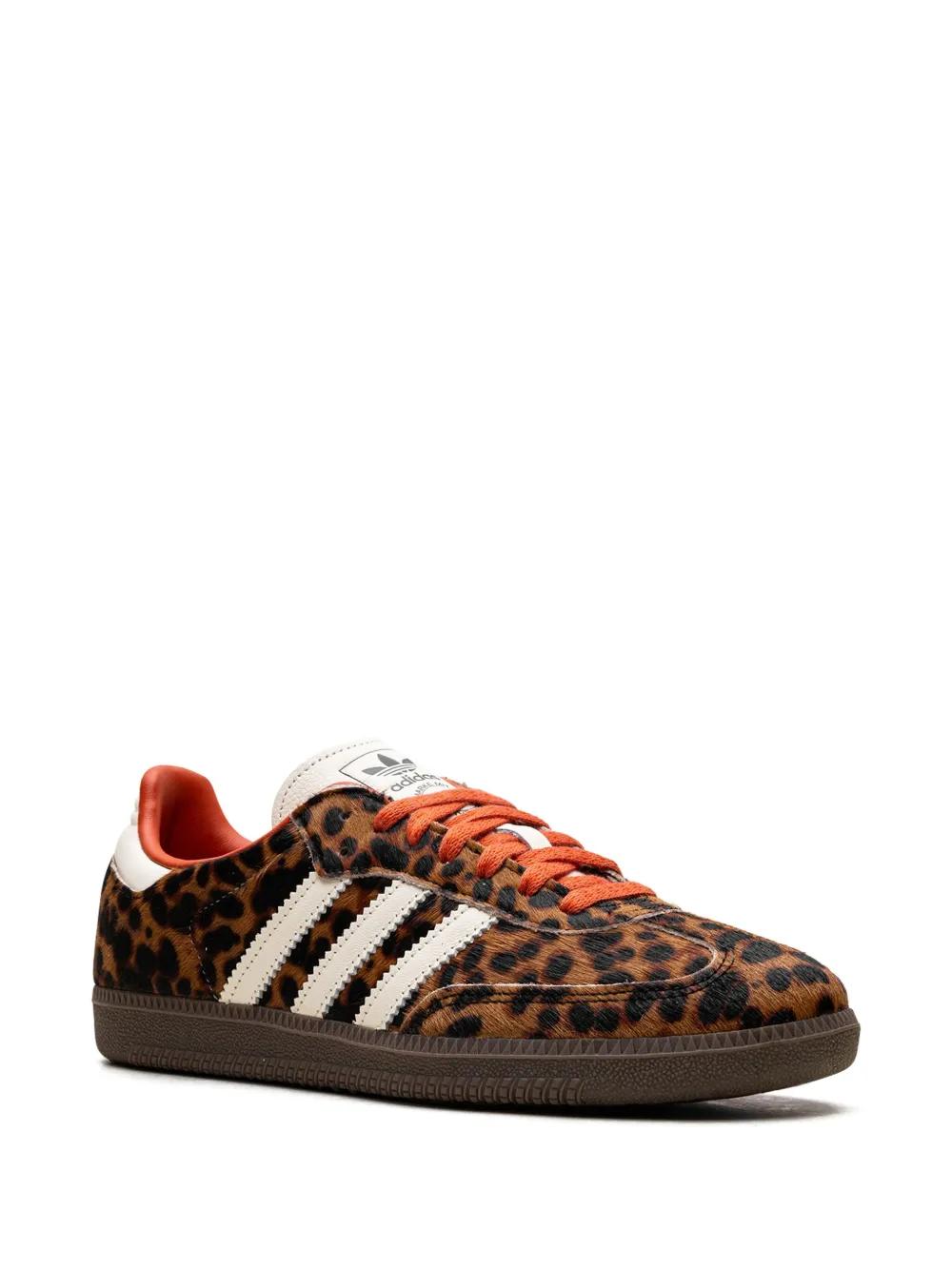 Gazelle Indoor sneakers Product Image