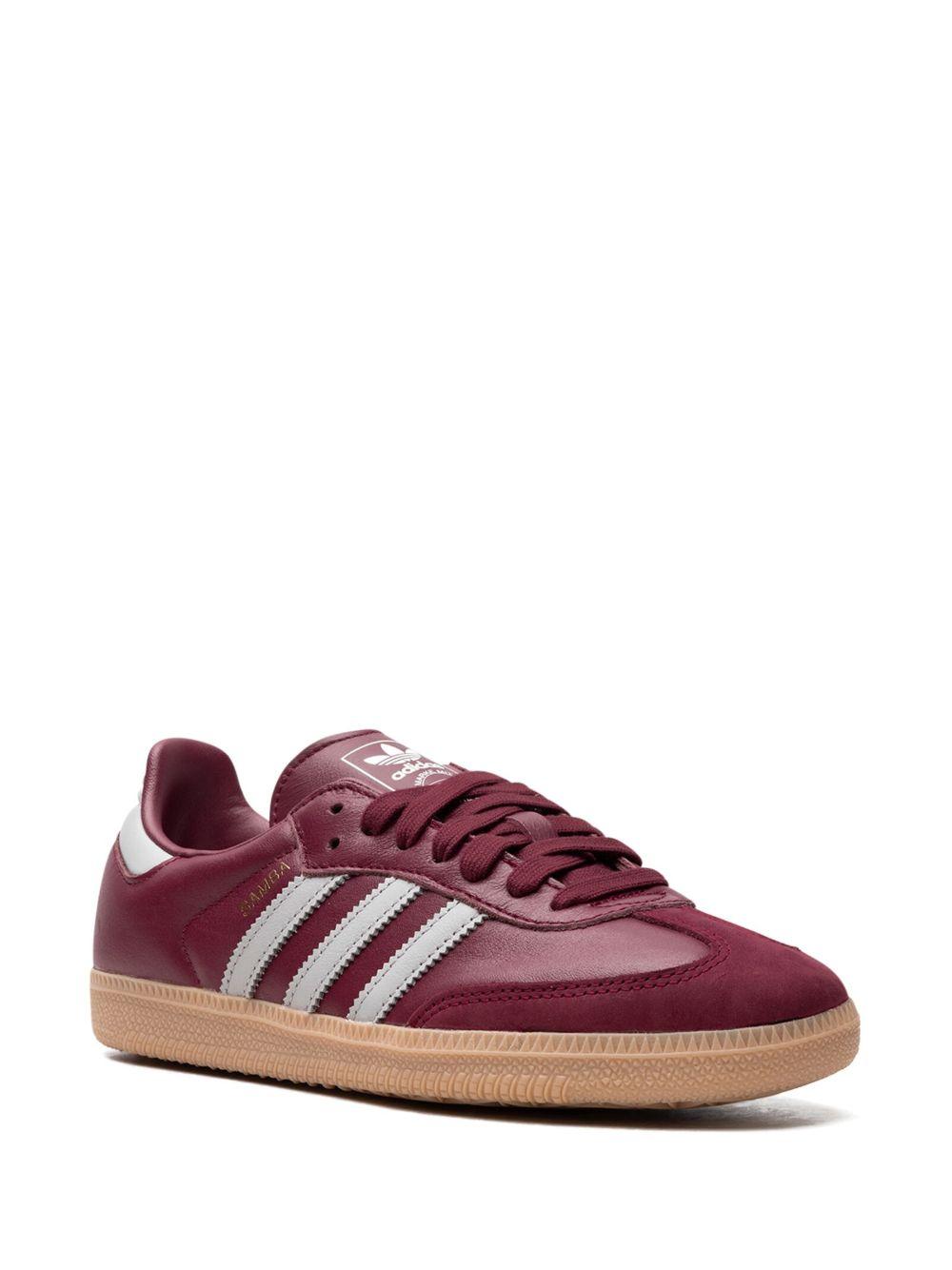 Samba OG "Burgundy" sneakers Product Image