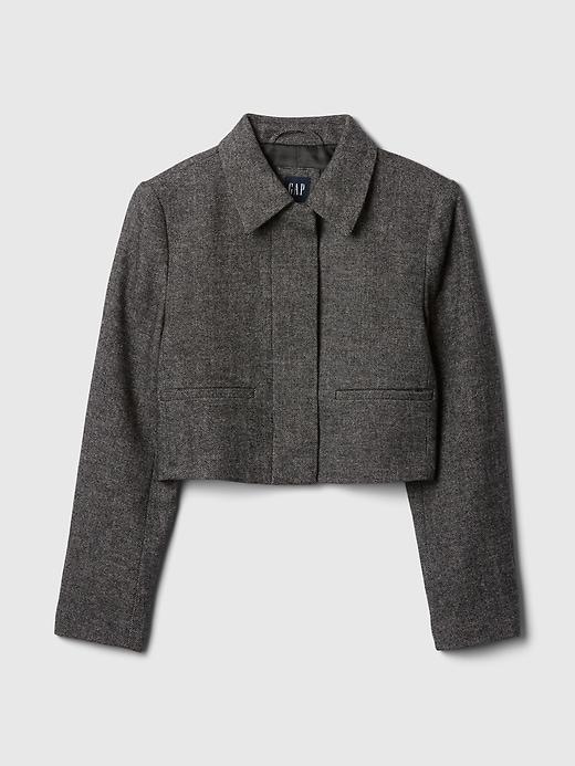 Herringbone Crop Jacket Product Image