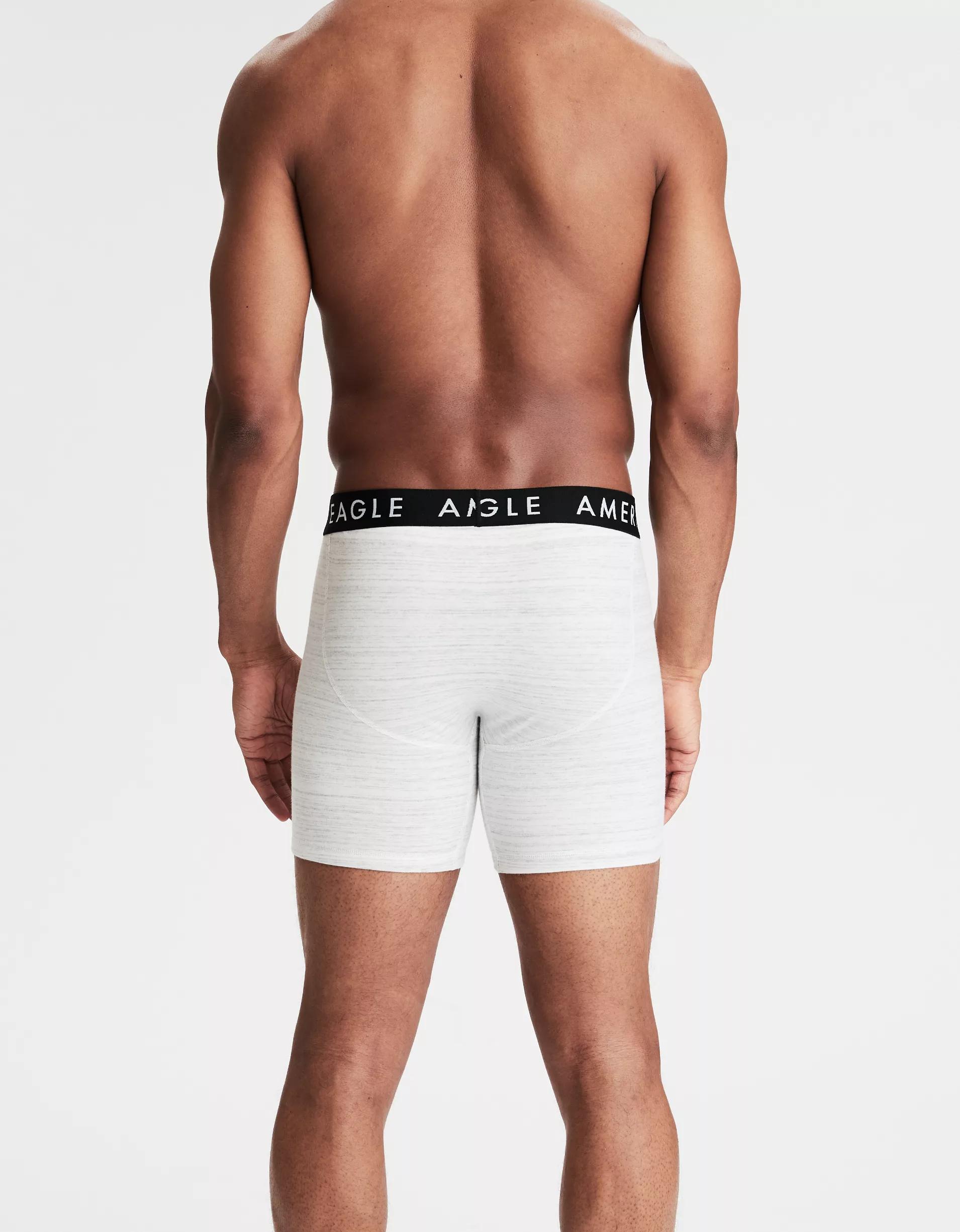 AEO Men's Heather 6" Classic Boxer Brief Product Image