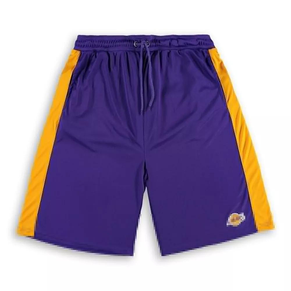 Men's Fanatics Branded Purple/Gold Los Angeles Lakers Big & Tall Performance Shorts, Size: XLT Product Image