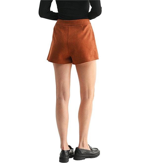 All in Favor Faux Suede Mini Wrap Skirt Product Image