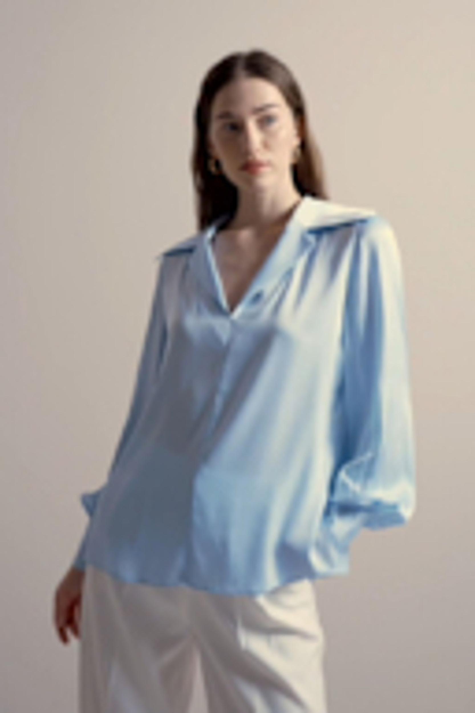 Cervina Blouse Product Image