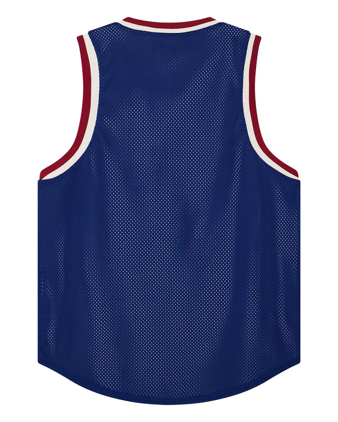 Back And Forth Jersey - Blueprint-Swan (Reversible) Product Image