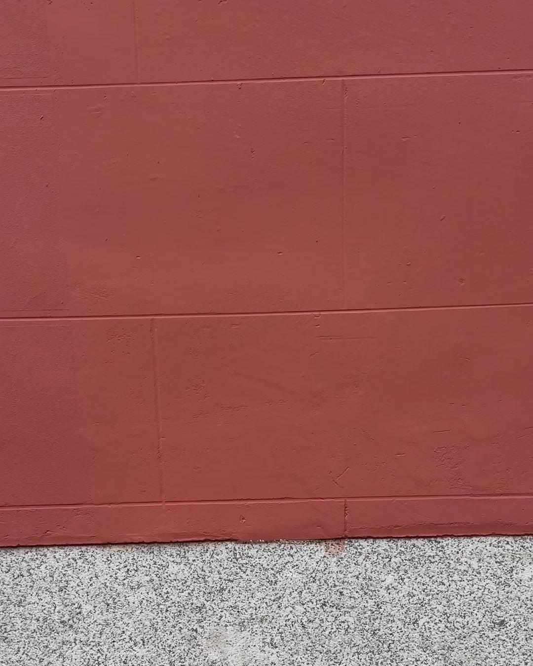 Bridget Tipped Vest in Cotton Product Image