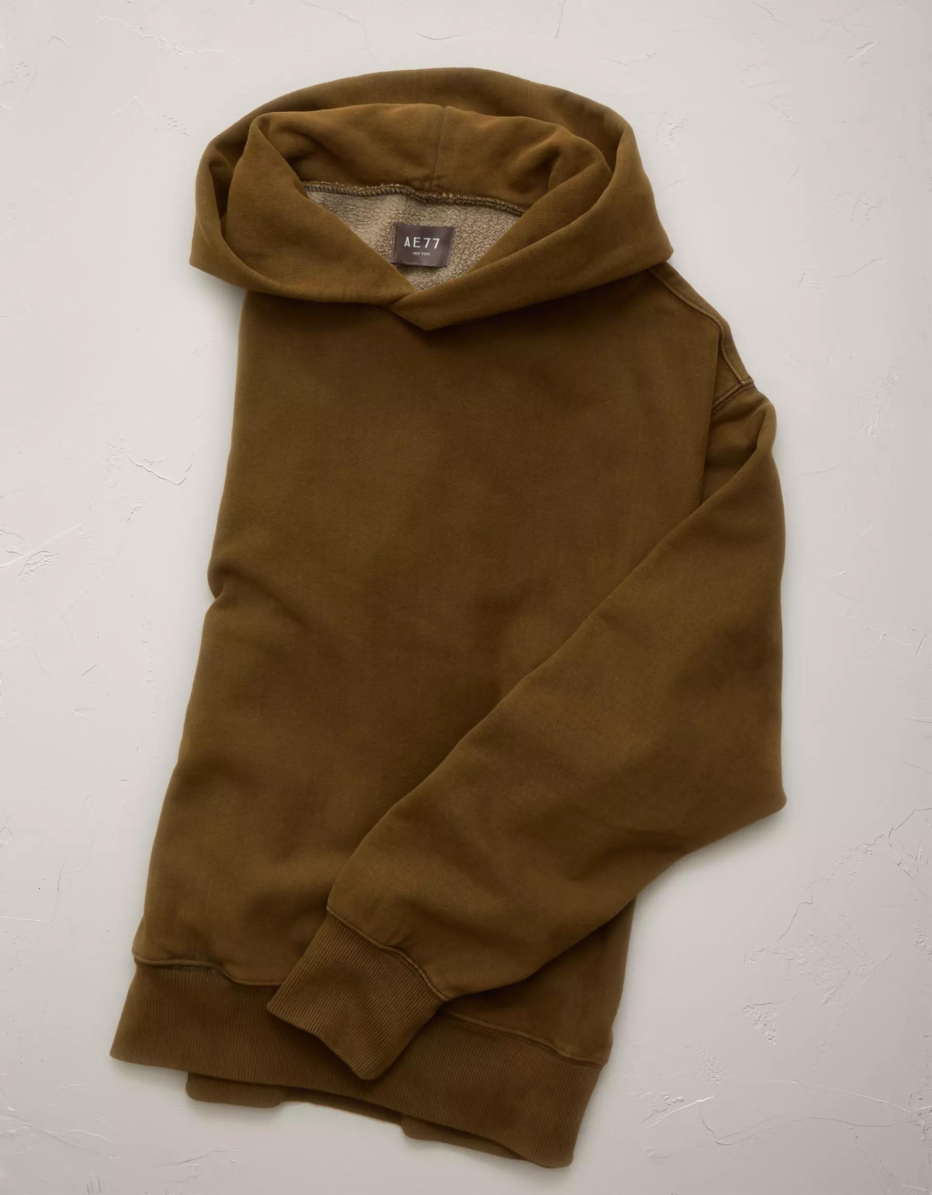 AE77 Premium Cropped Hoodie Product Image