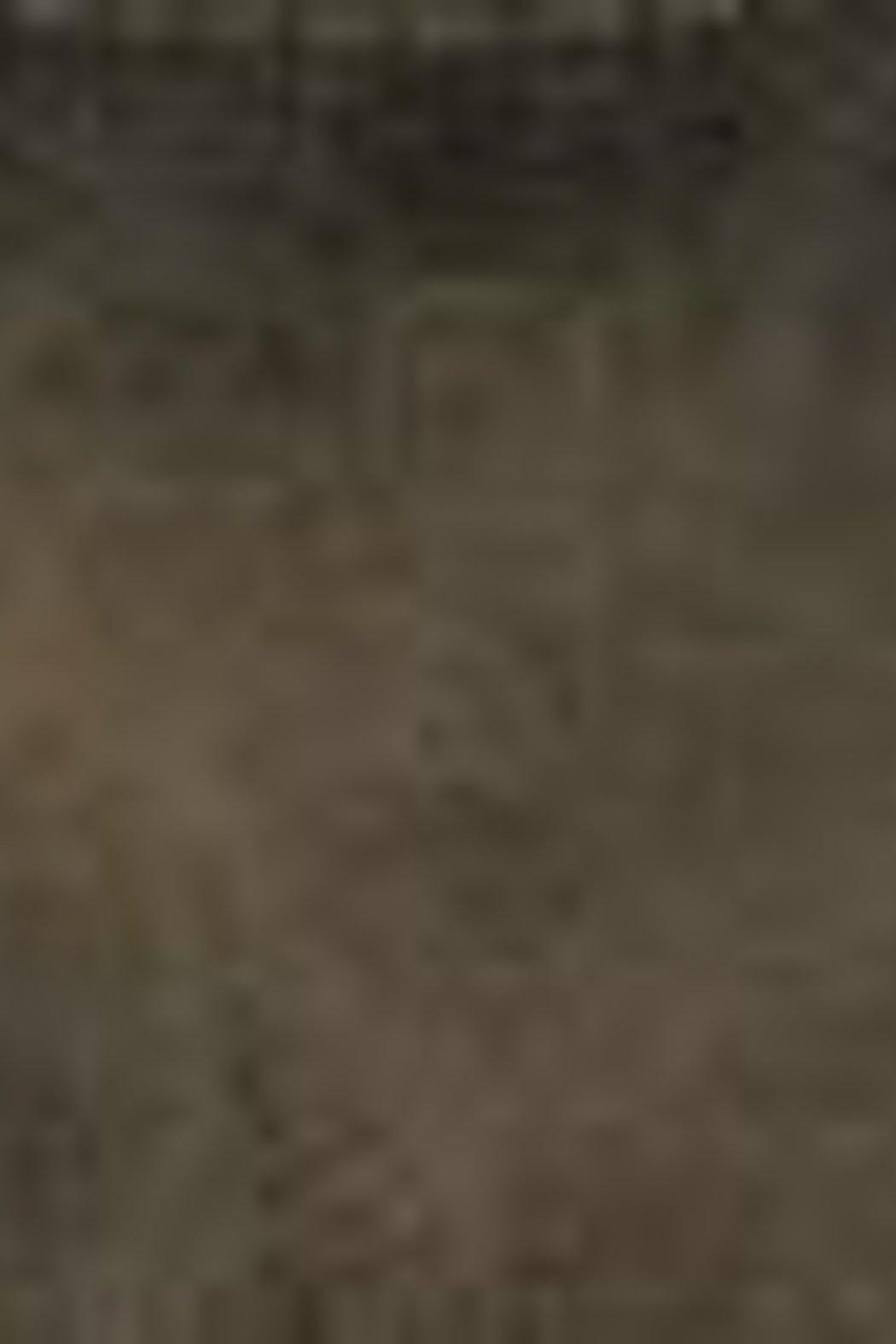 Distressed Vegan Backpack Product Image