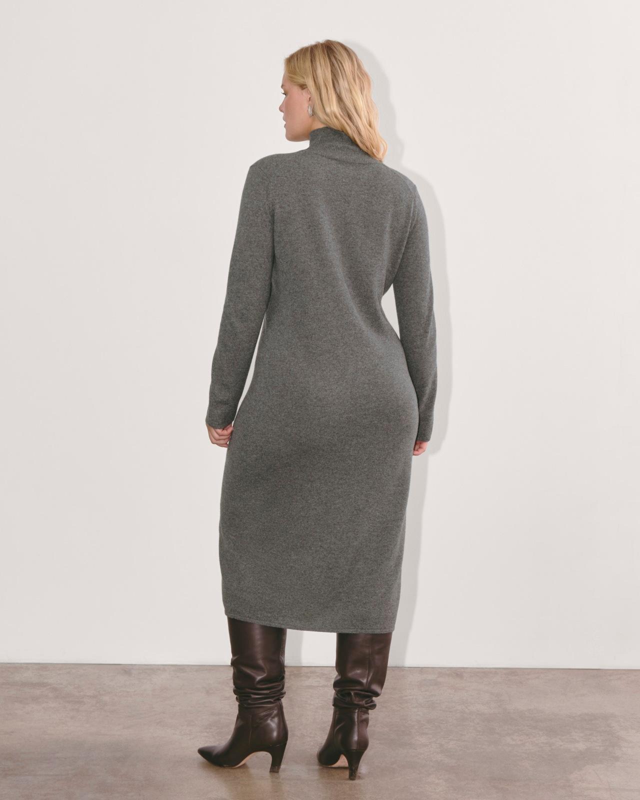 Womens Turtleneck Sweater Dress in Cashmere by Everlane Product Image