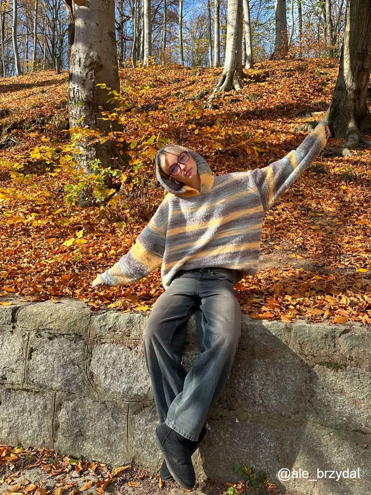 Aelfric Eden Gradient Stripe Knit Hoodie Product Image