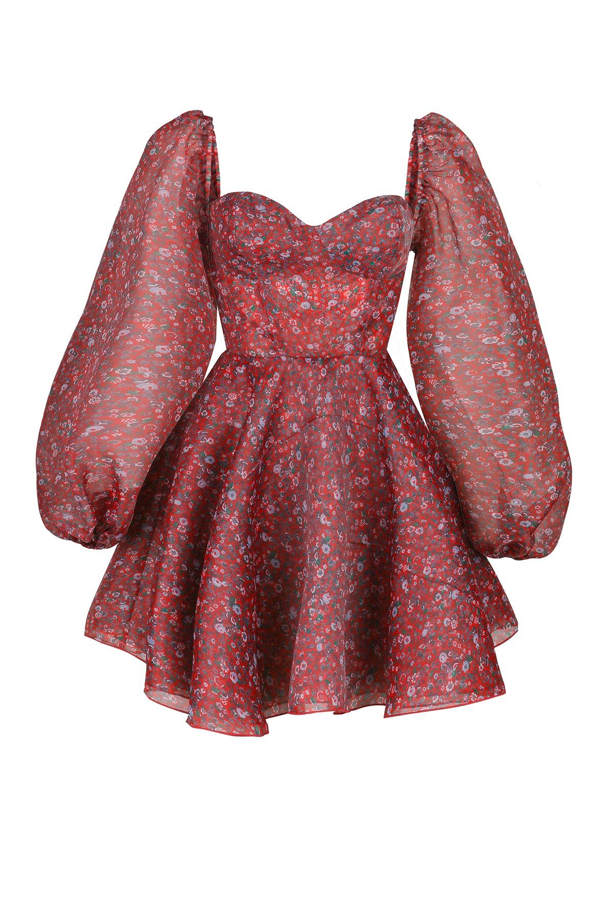 The Crimson Princess Dress Product Image