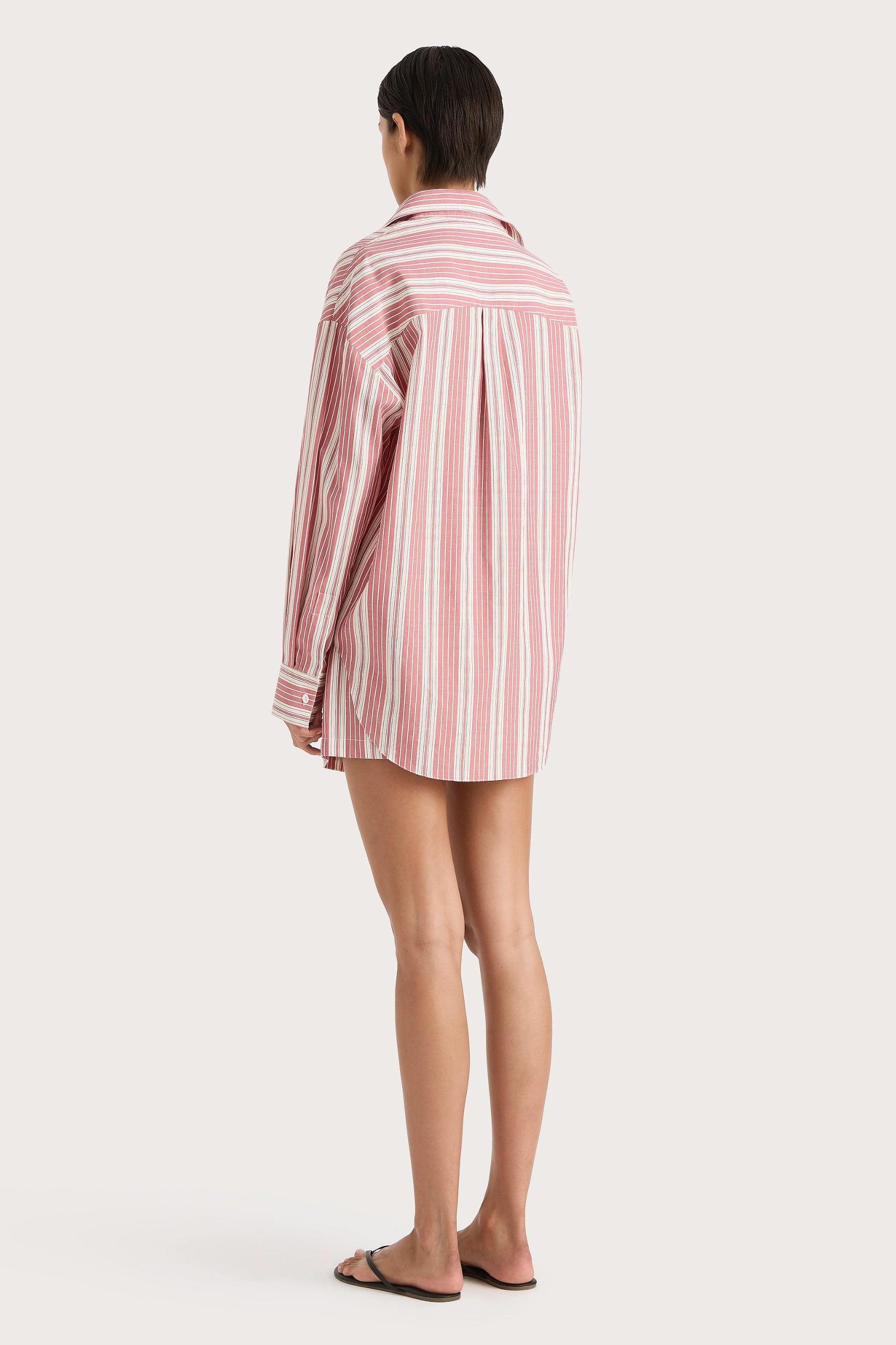 Reign Mini Dress Cherry Stripe - Final Sale Product Image