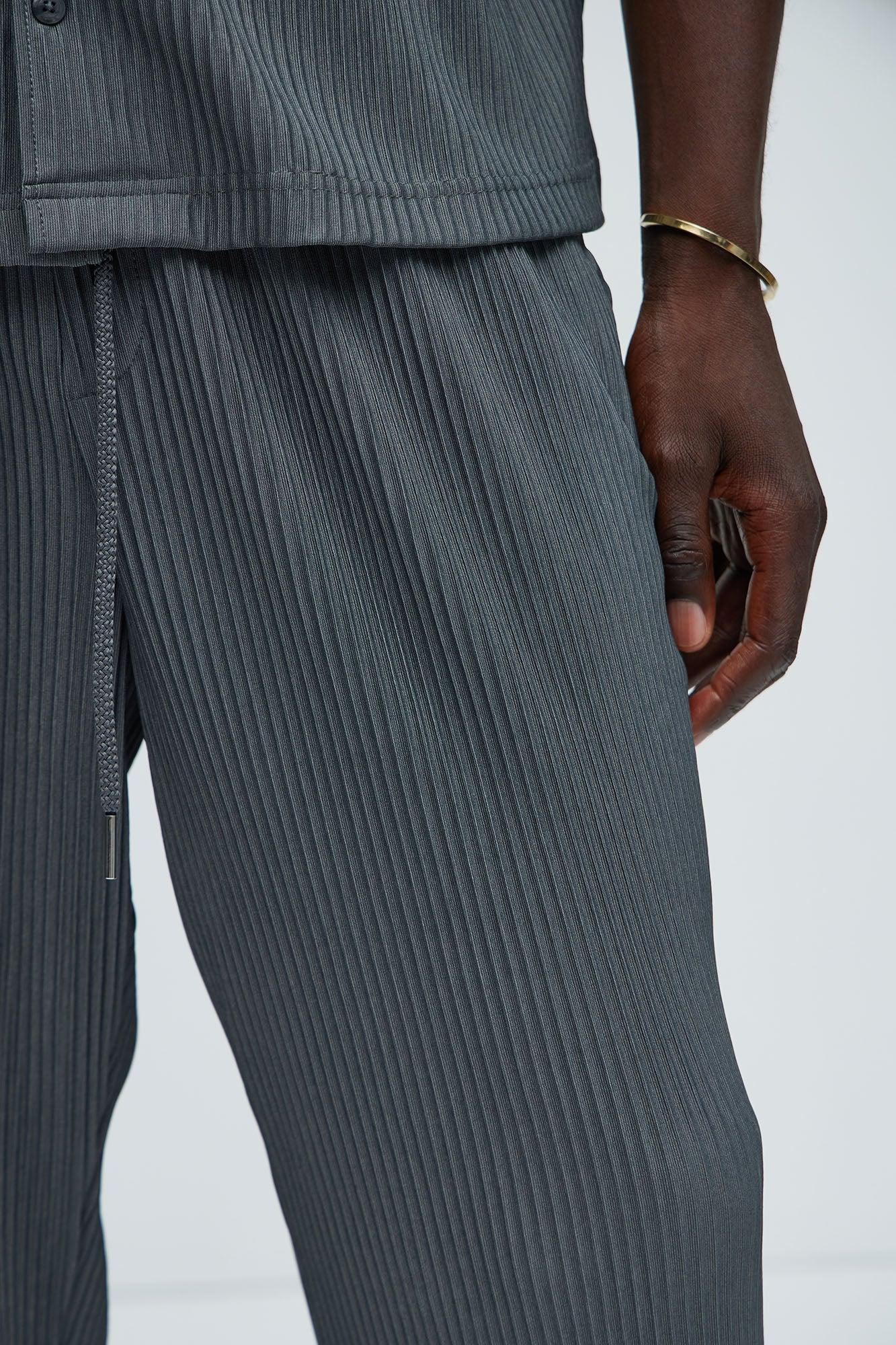 Potential Straight Pleated Pants - Grey Product Image
