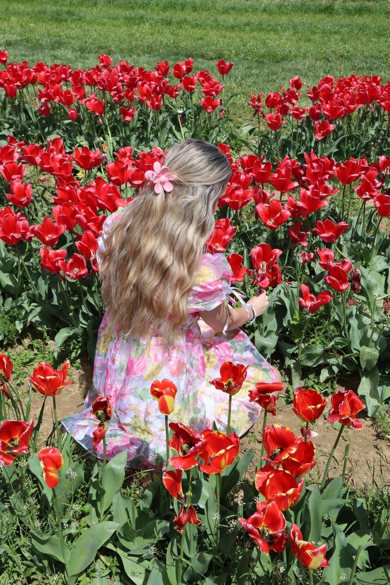 FINAL SALE Bardot Tulle Floral Babydoll Dress Product Image