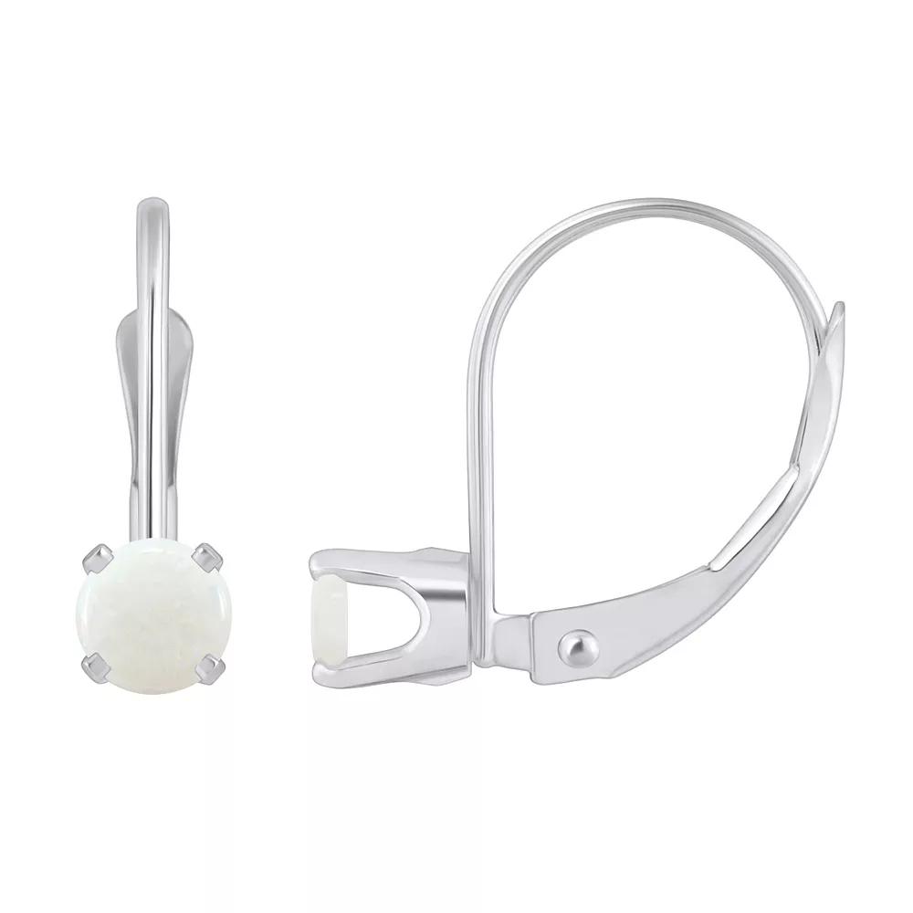 Celebration Gems 14k White Gold Gemstone Drop Earrings, Women's, Moonstone Product Image