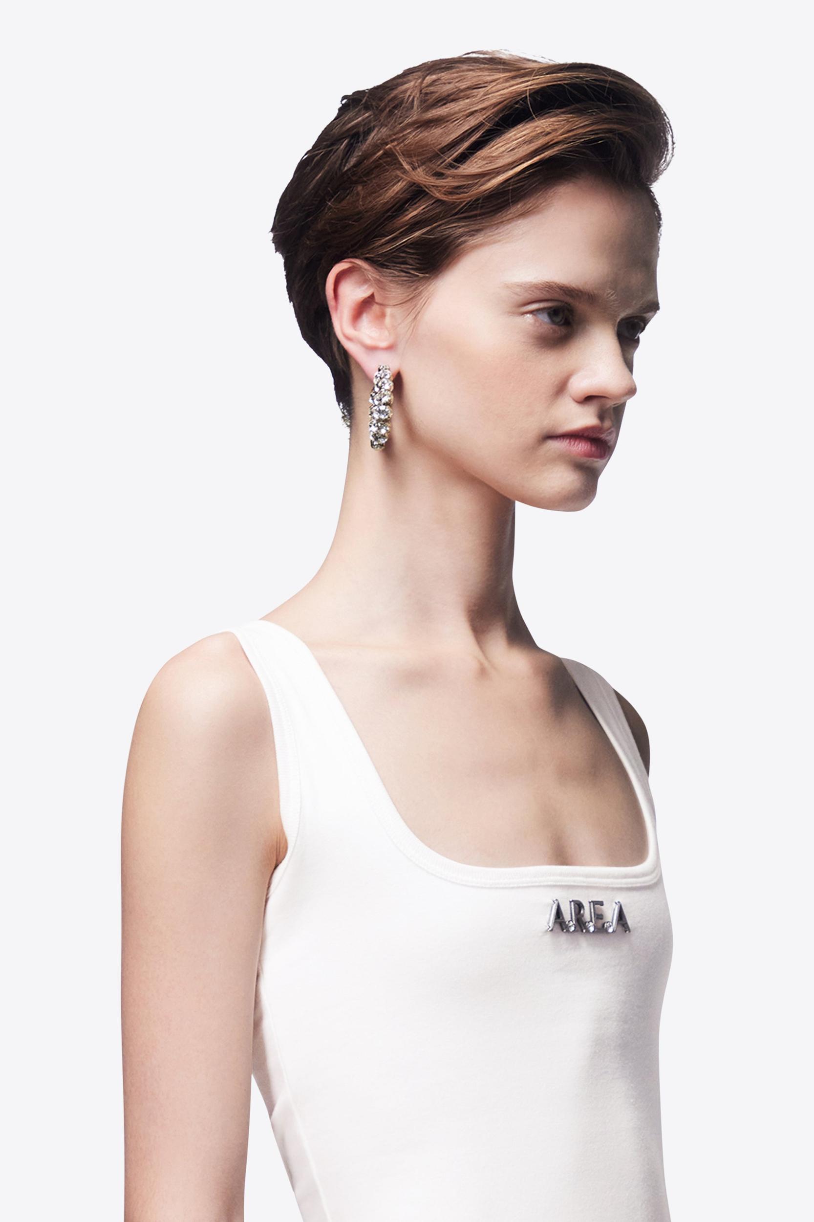 Small Crystal Hoop Earrings Product Image