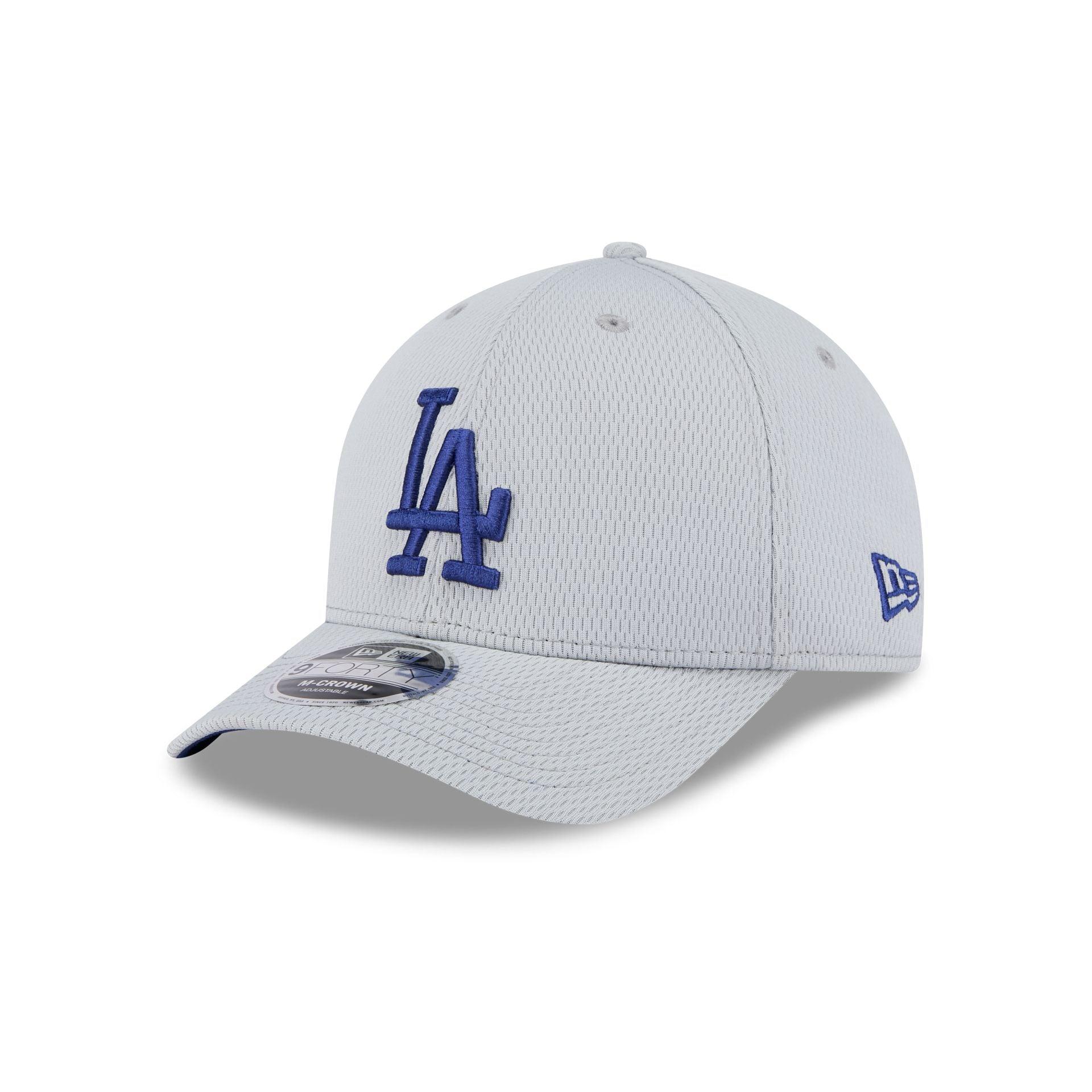Los Angeles Dodgers 2025 Clubhouse Gray 9FORTY M-Crown Snapback Hat Male Product Image