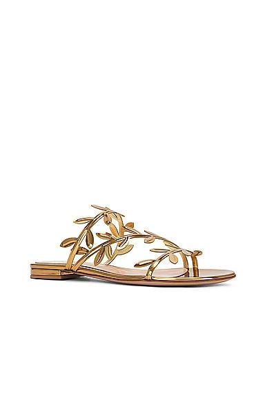 GIANVITO ROSSI Flavia Metallic Leather Sandals In Mekong Product Image